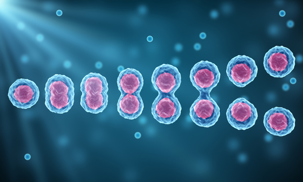 Concomitant Radiochemotherapy